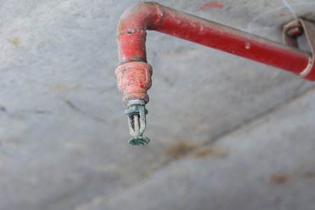 Knowing When To Replace Fire Sprinkler Heads Spectrum Fire Protection Blog