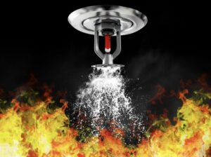 wet vs dry sprinkler system